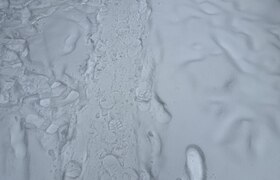 За сутки с улиц Казани убрали свыше семи тысяч ...