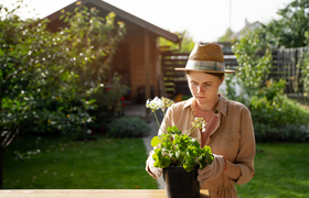 Готовимся к даче в Казани — растения, техника и...